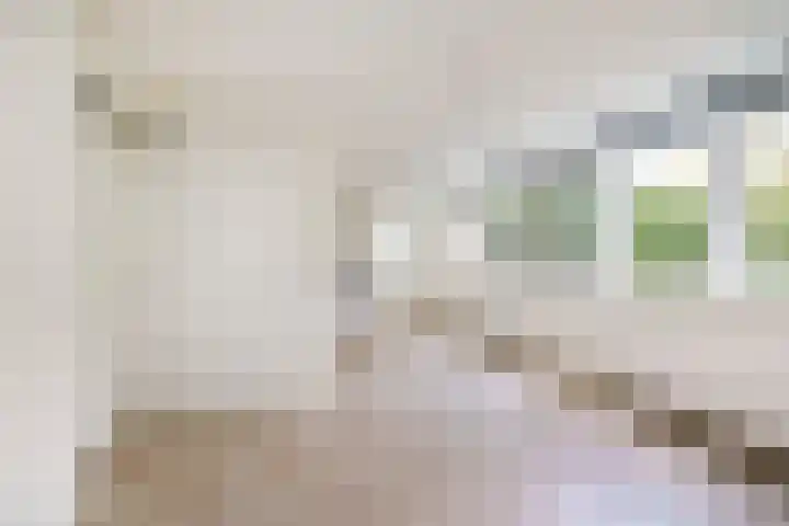 Schoonderloostraat 155 D Rotterdam thumbnail 9