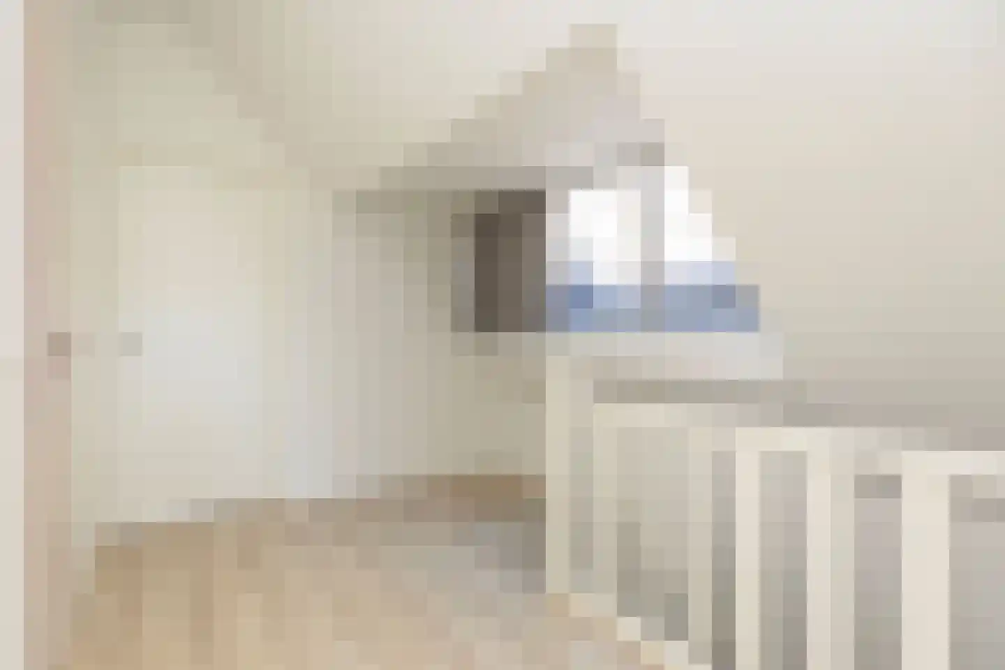 Schoonderloostraat 169 Rotterdam thumbnail 18