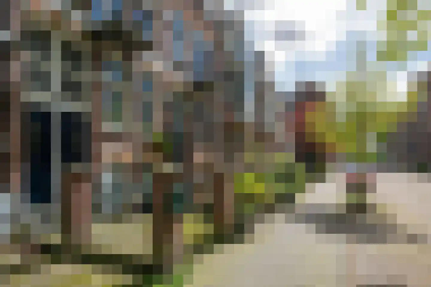 Schoonderloostraat 169 Rotterdam thumbnail 23