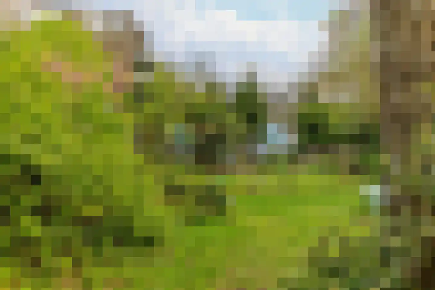 Schoonderloostraat 169 Rotterdam thumbnail 26