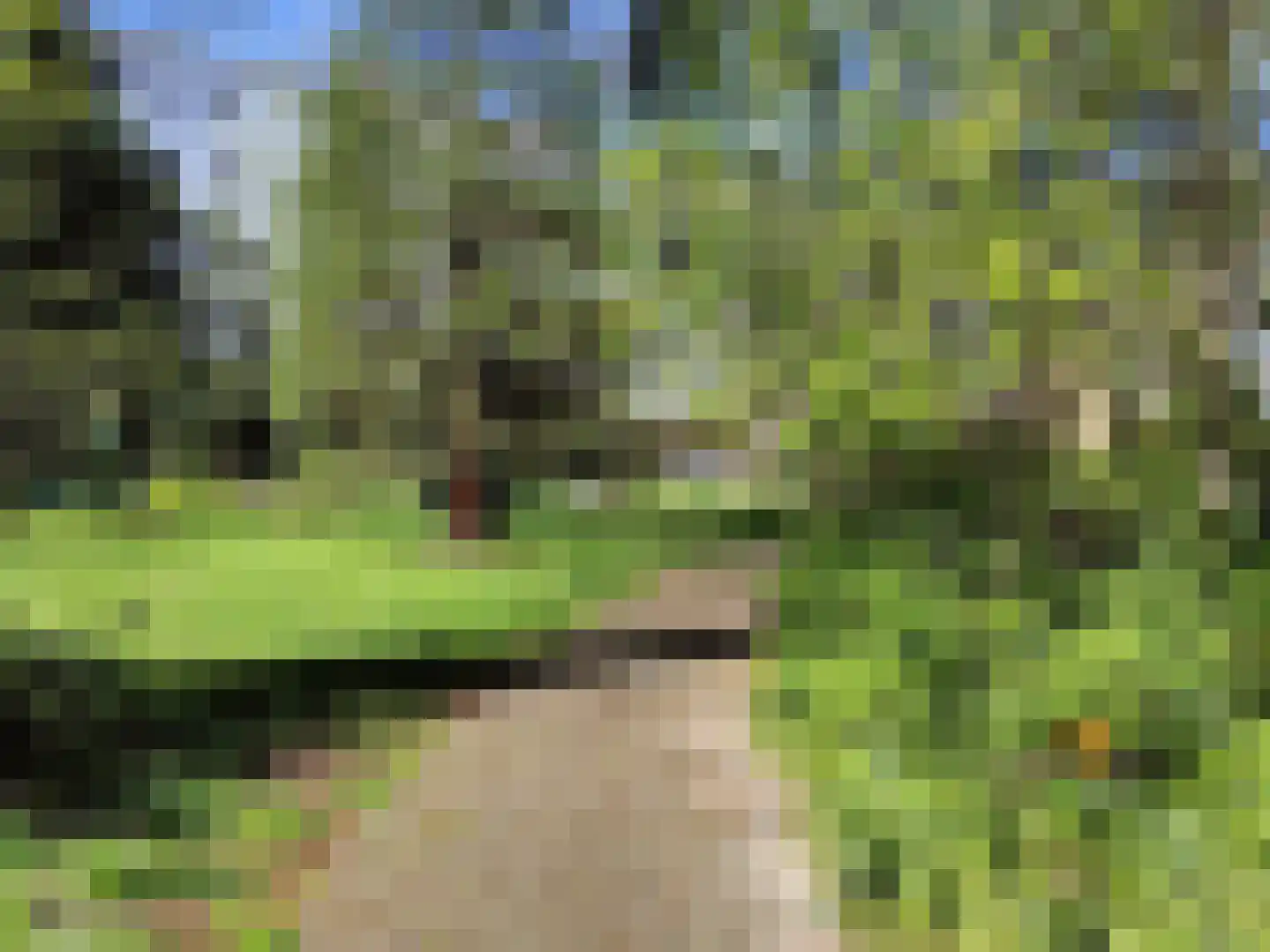 Schoonderloostraat 169 Rotterdam thumbnail 28