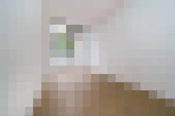 Schoonderloostraat 175 Rotterdam thumbnail 17