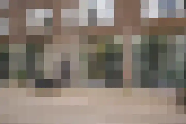 Schoonderloostraat 175 Rotterdam thumbnail 20