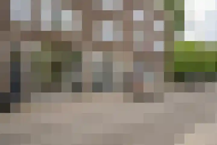 Schoonderloostraat 175 Rotterdam thumbnail 5