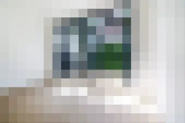Schoonderloostraat 175 Rotterdam thumbnail 7