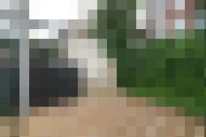 Schoonderloostraat 175 Rotterdam thumbnail 8