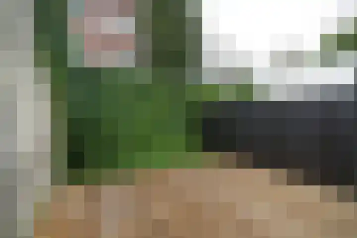 Schoonderloostraat 175 Rotterdam thumbnail 9