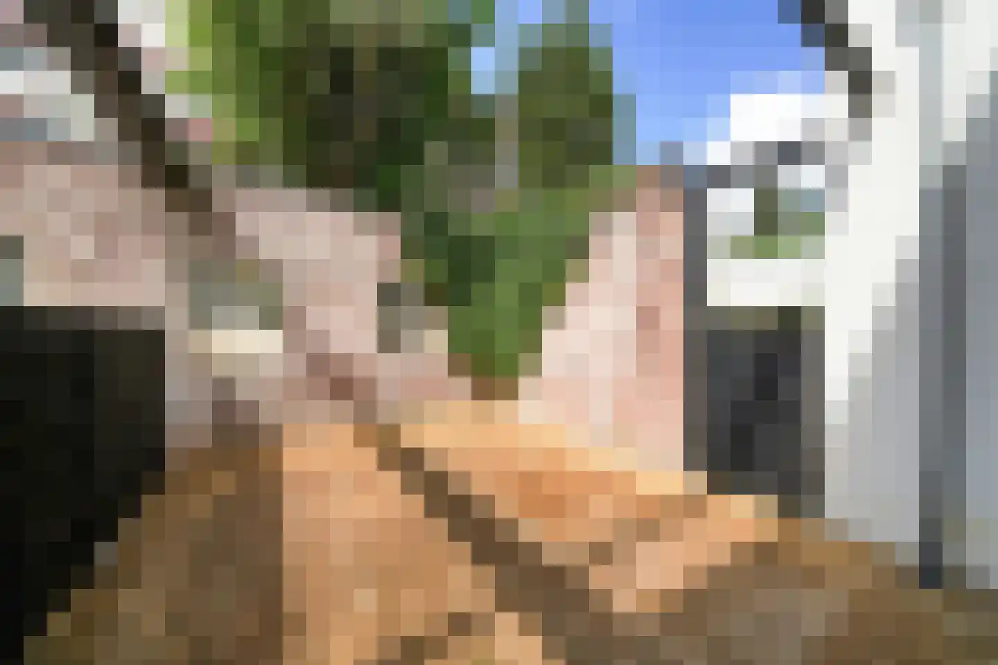 Schoonderloostraat 189 Rotterdam thumbnail 7