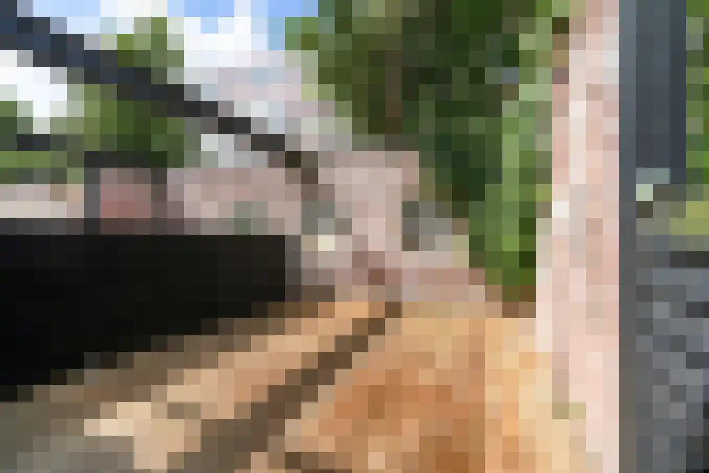 Schoonderloostraat 189 Rotterdam thumbnail 8
