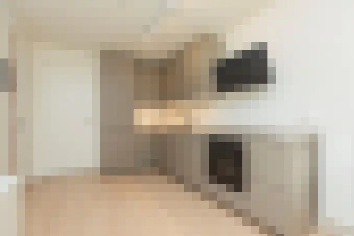 Schoonderloostraat 195 Rotterdam thumbnail 10