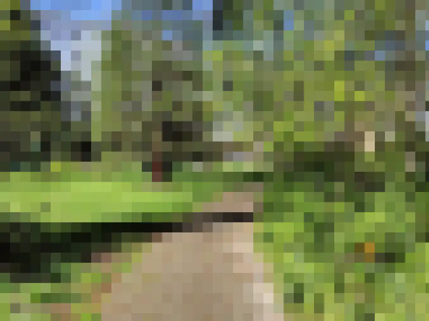 Schoonderloostraat 227 Rotterdam thumbnail 23