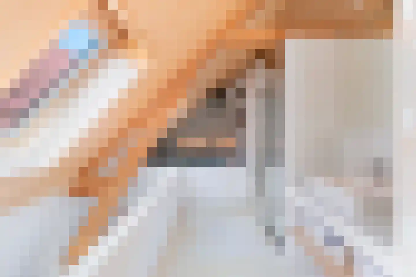 Schoonderloostraat 54 B Rotterdam thumbnail 32