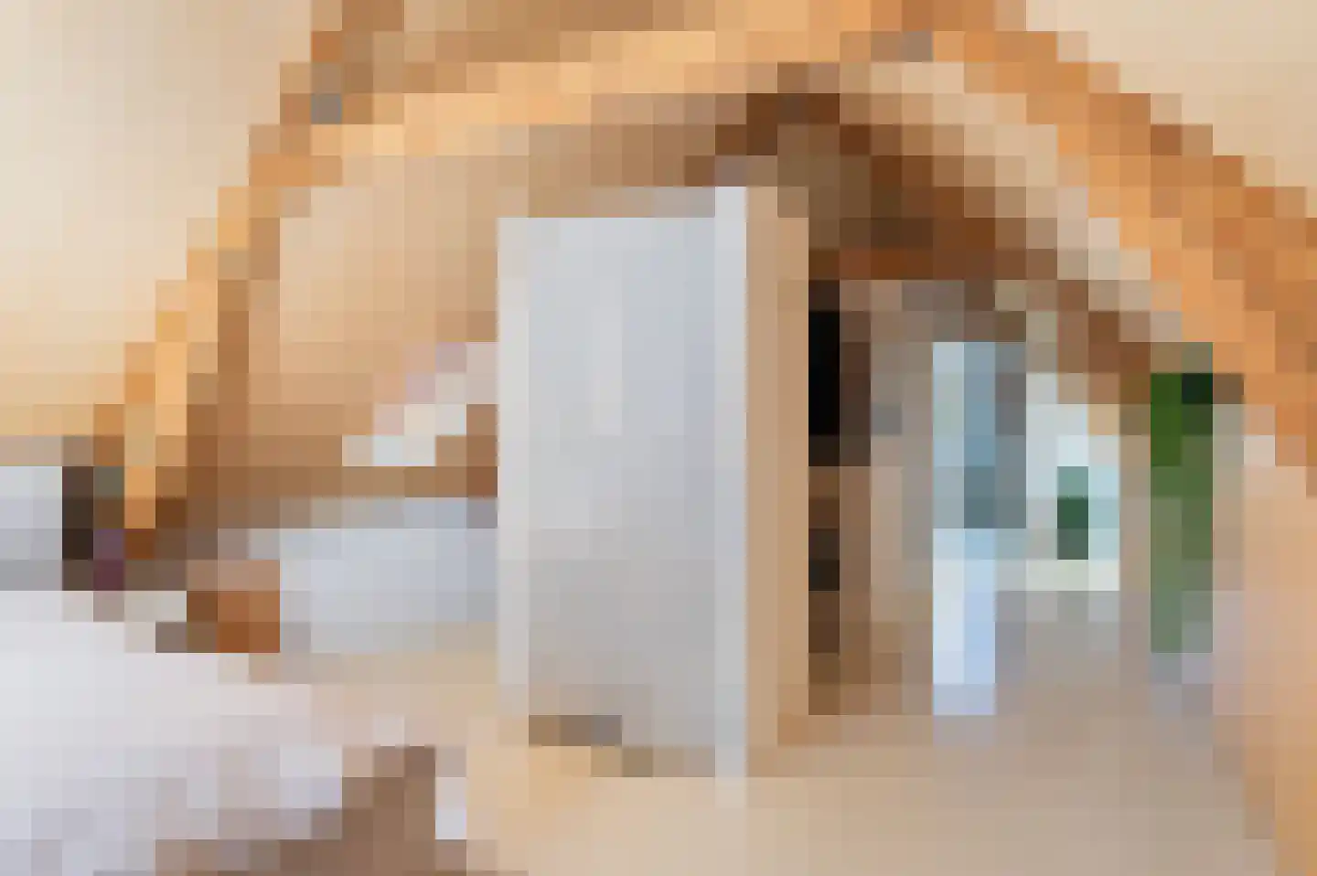 Schoonderloostraat 54 B Rotterdam thumbnail 34