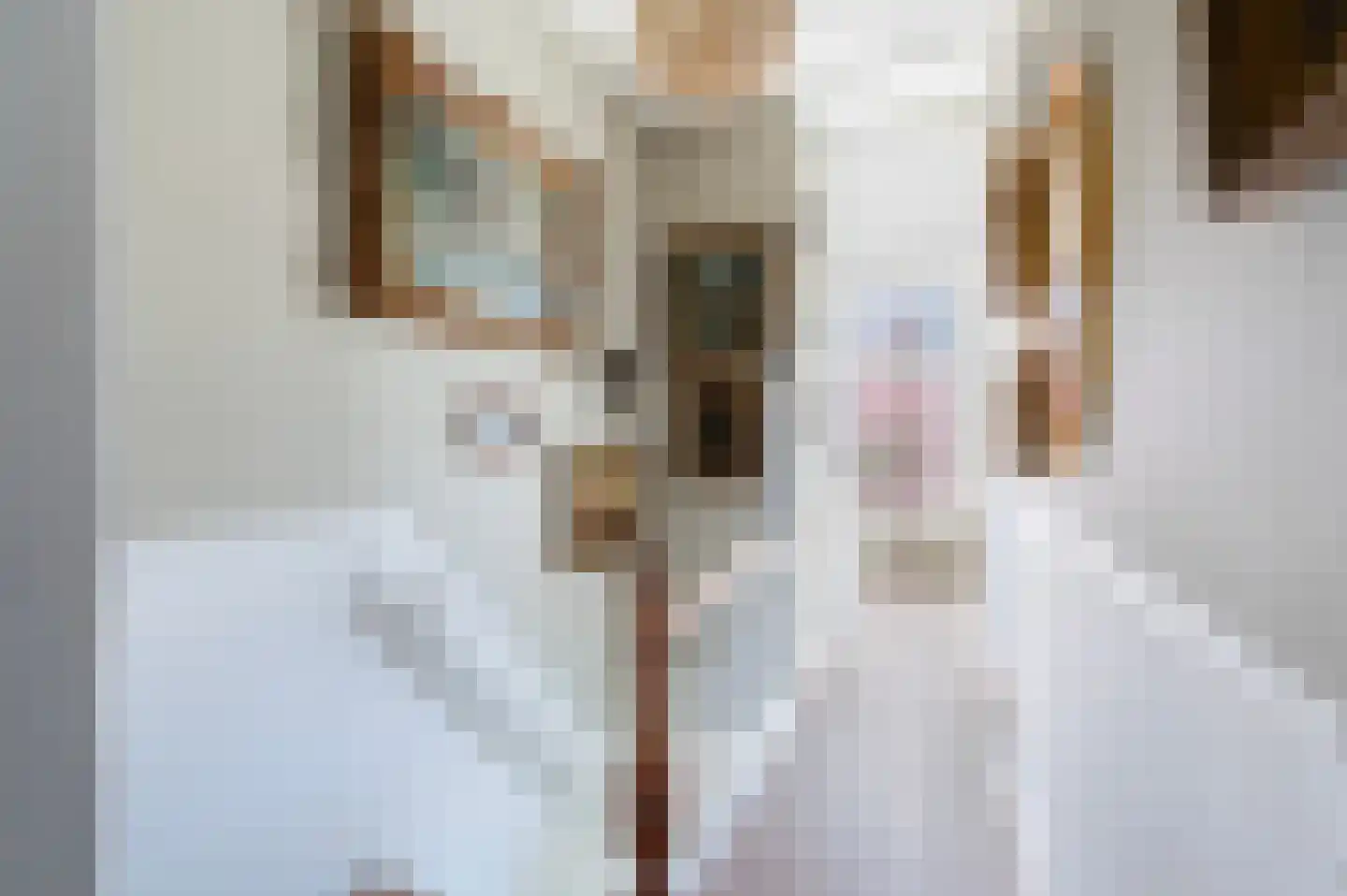 Schoonderloostraat 54 B Rotterdam thumbnail 5