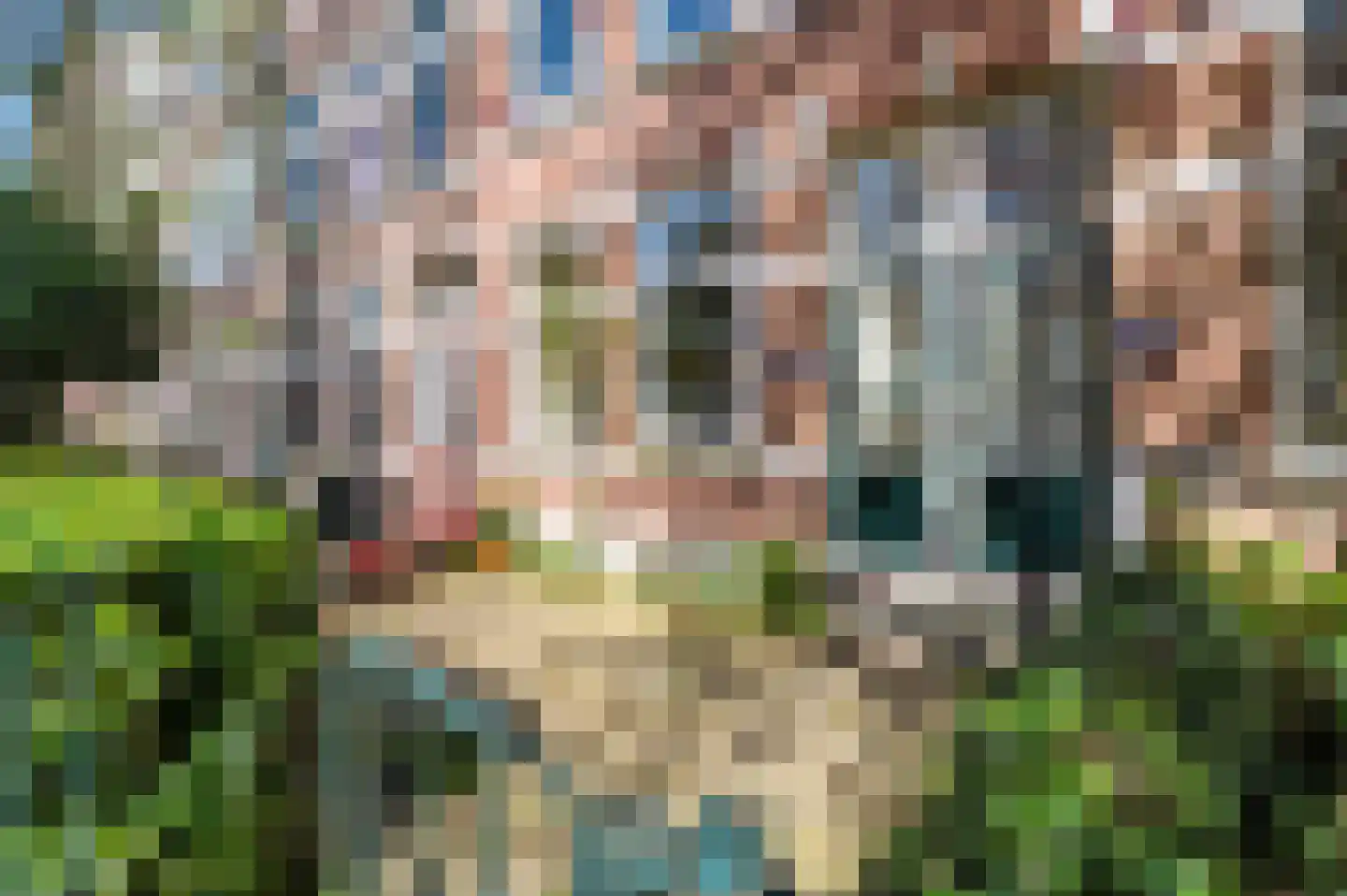 Schoonderloostraat 54 B Rotterdam thumbnail 50