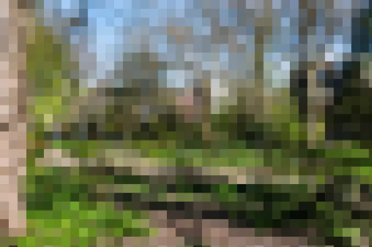 Schoonderloostraat 54 B Rotterdam thumbnail 55