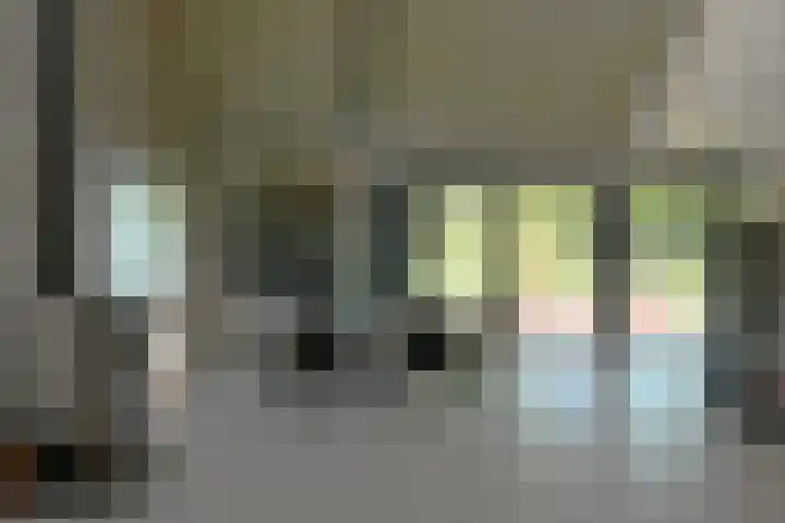 Schoondijksedijk 51 Driewegen thumbnail 10