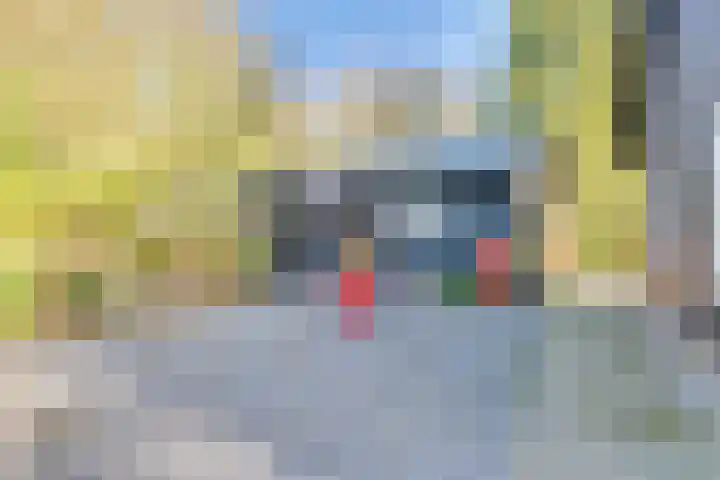 Schoondijksedijk 51 Driewegen thumbnail 34