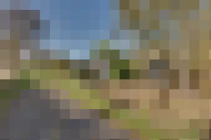 Schoondijksedijk 51 Driewegen thumbnail 51