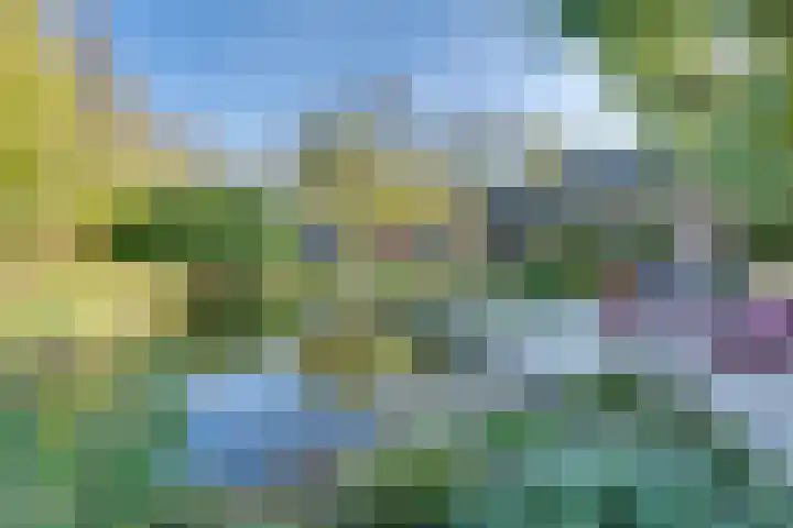 Schoondijksedijk 51 Driewegen thumbnail 55