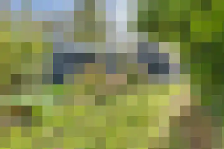 Schoondijksedijk 51 Driewegen thumbnail 58