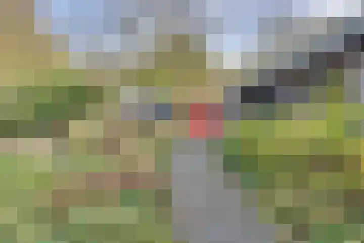 Schoondijksedijk 51 Driewegen thumbnail 59