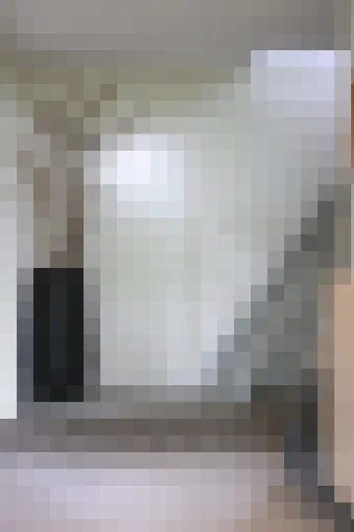 Schoondijksedijk 51 Driewegen thumbnail 7
