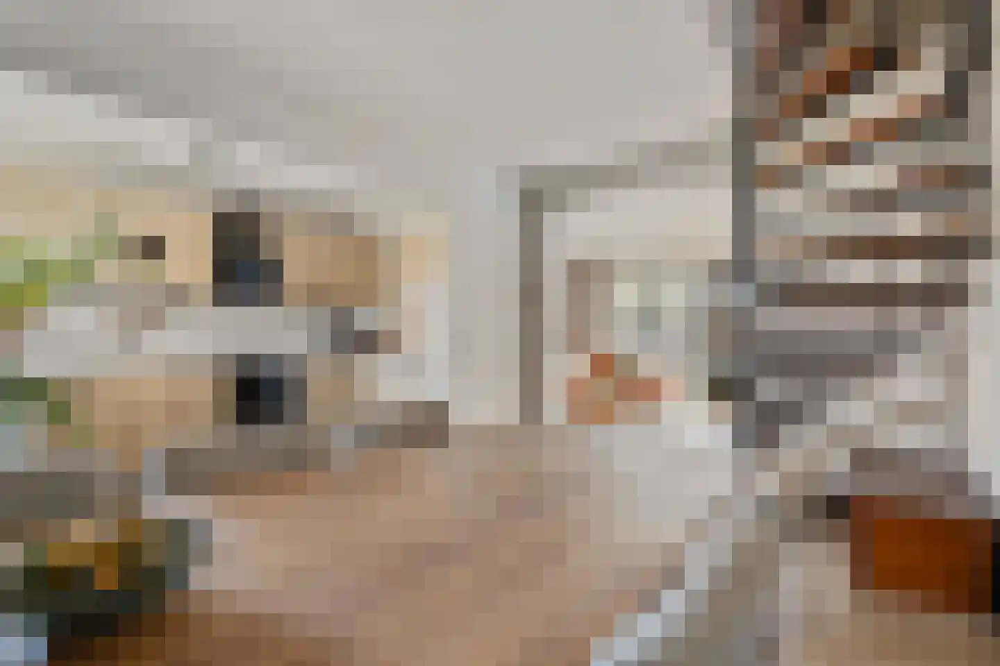 Schoondonk 1 Oosterhout thumbnail 13