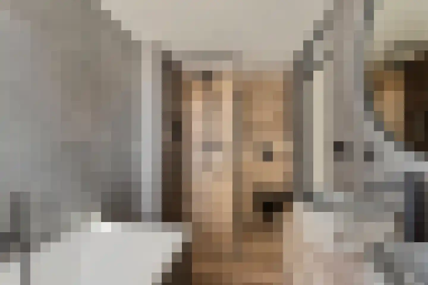 Schoondonk 1 Oosterhout thumbnail 6