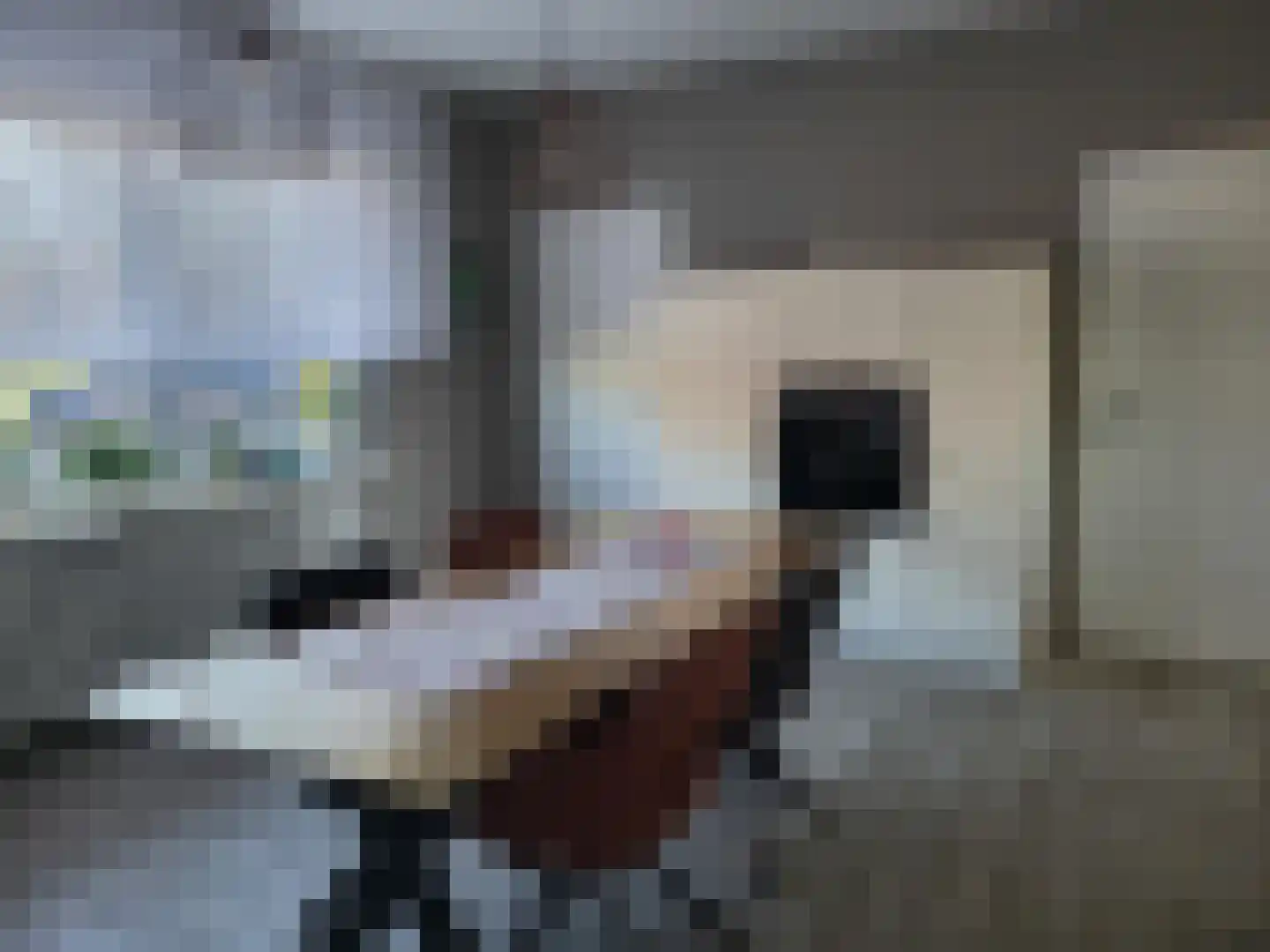 Schoonebeeker 21 Meerstad thumbnail 10
