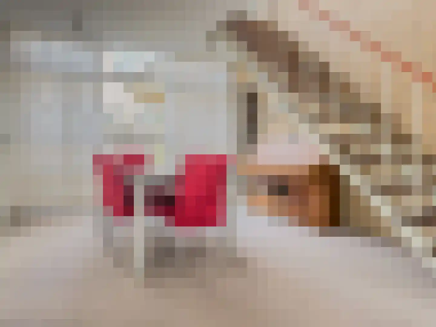 Schoonegge 172 Rotterdam thumbnail 10