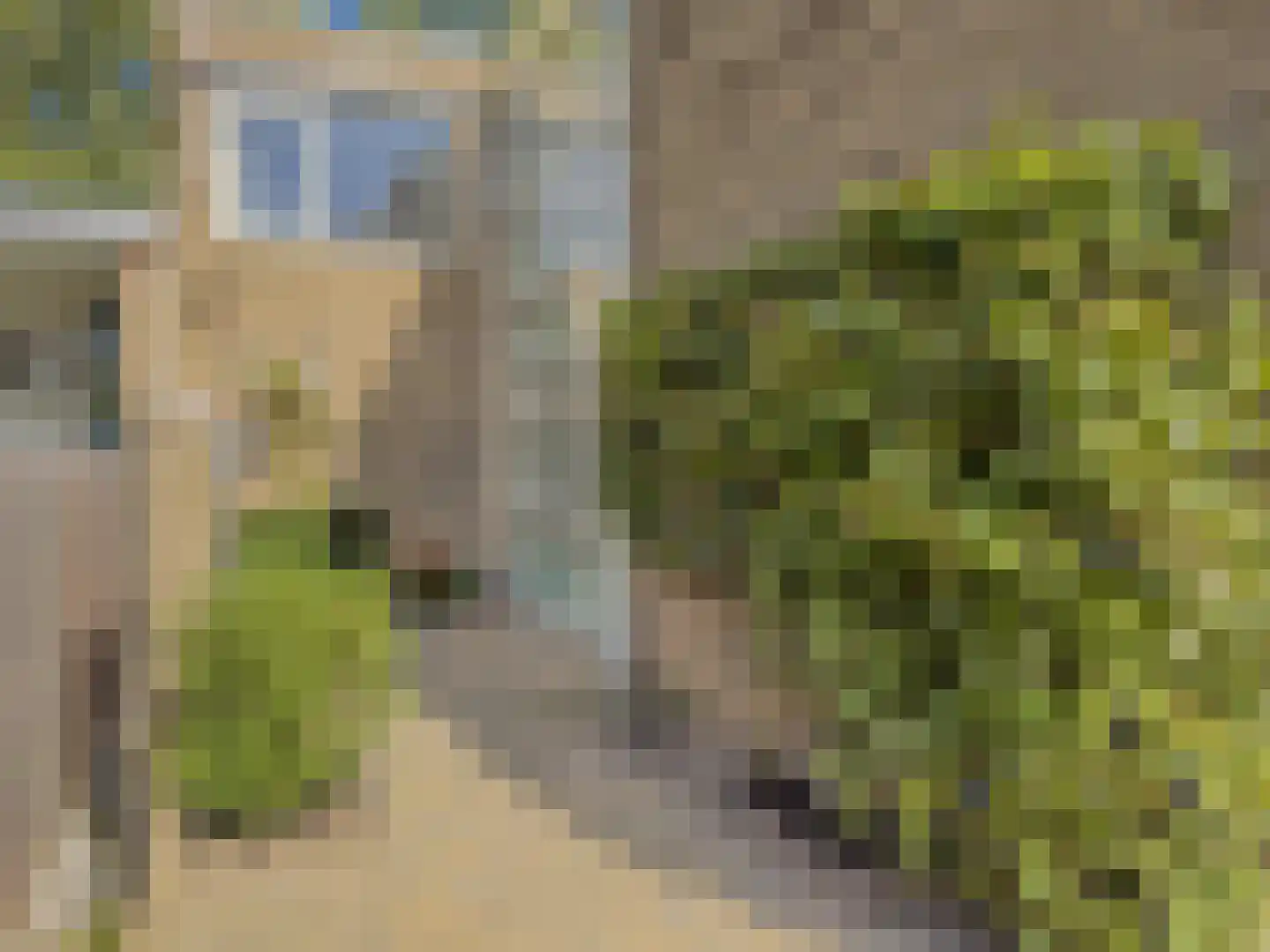 Schoonegge 172 Rotterdam thumbnail 17