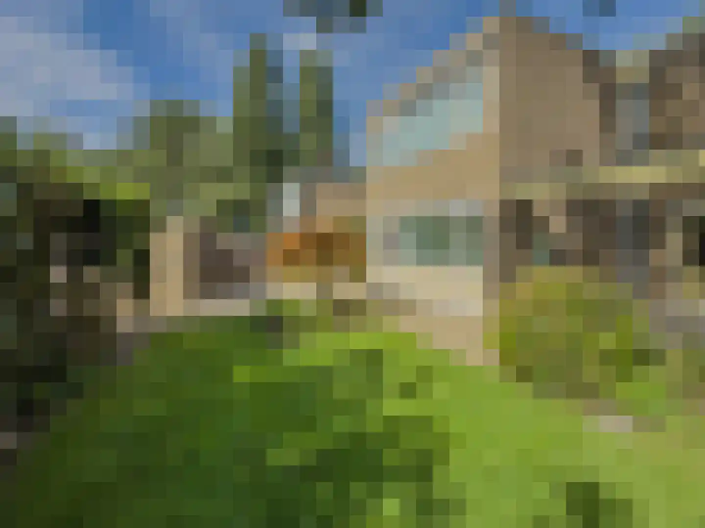 Schoonegge 172 Rotterdam thumbnail 20