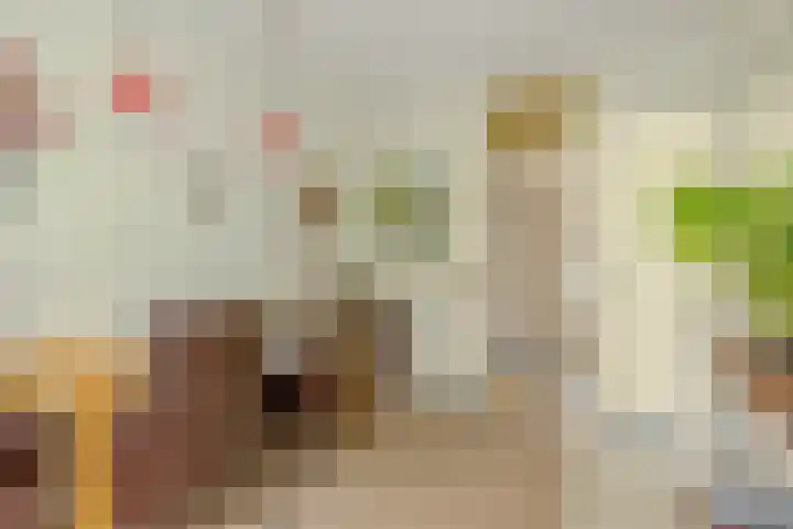 Schoonegge 273 Rotterdam thumbnail 10