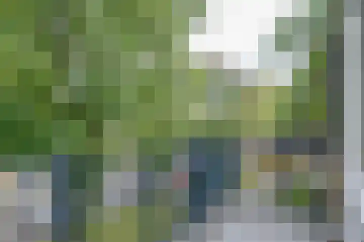 Schoonegge 273 Rotterdam thumbnail 11