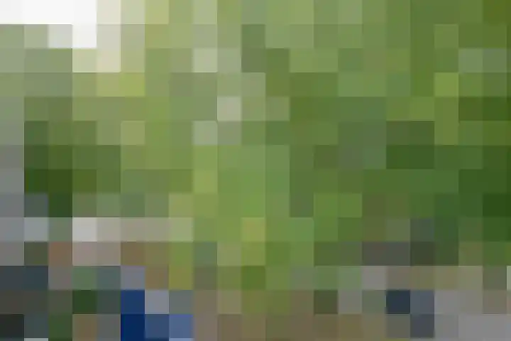 Schoonegge 273 Rotterdam thumbnail 12