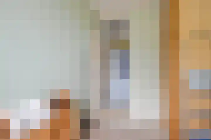 Schoonegge 273 Rotterdam thumbnail 20