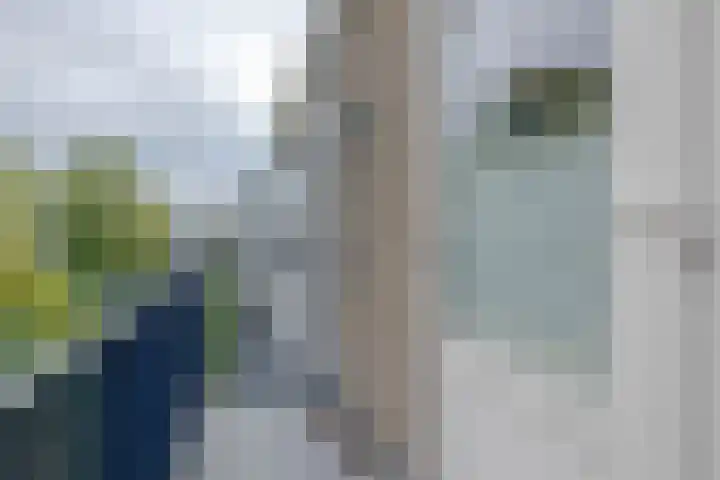 Schoonegge 273 Rotterdam thumbnail 21