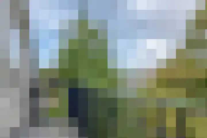 Schoonegge 273 Rotterdam thumbnail 22