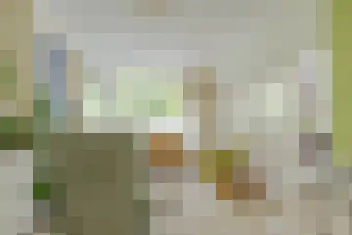Schoonegge 273 Rotterdam thumbnail 8