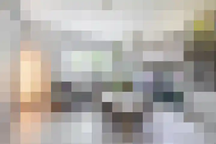 Schoonegge 311 Rotterdam thumbnail 10