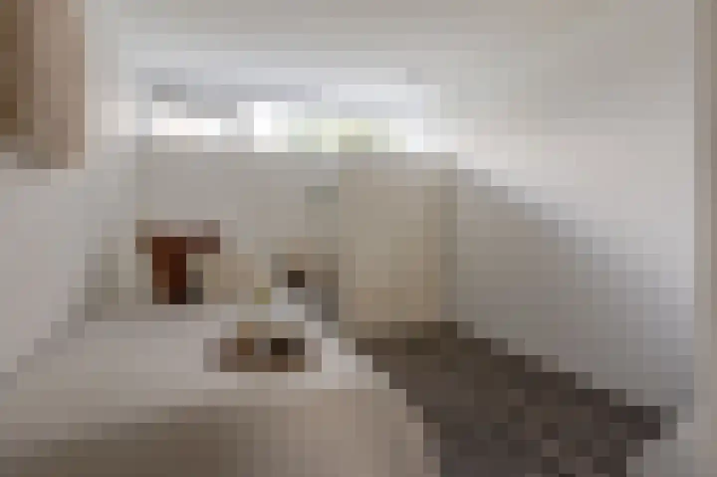 Schoonegge 317 Rotterdam thumbnail 17