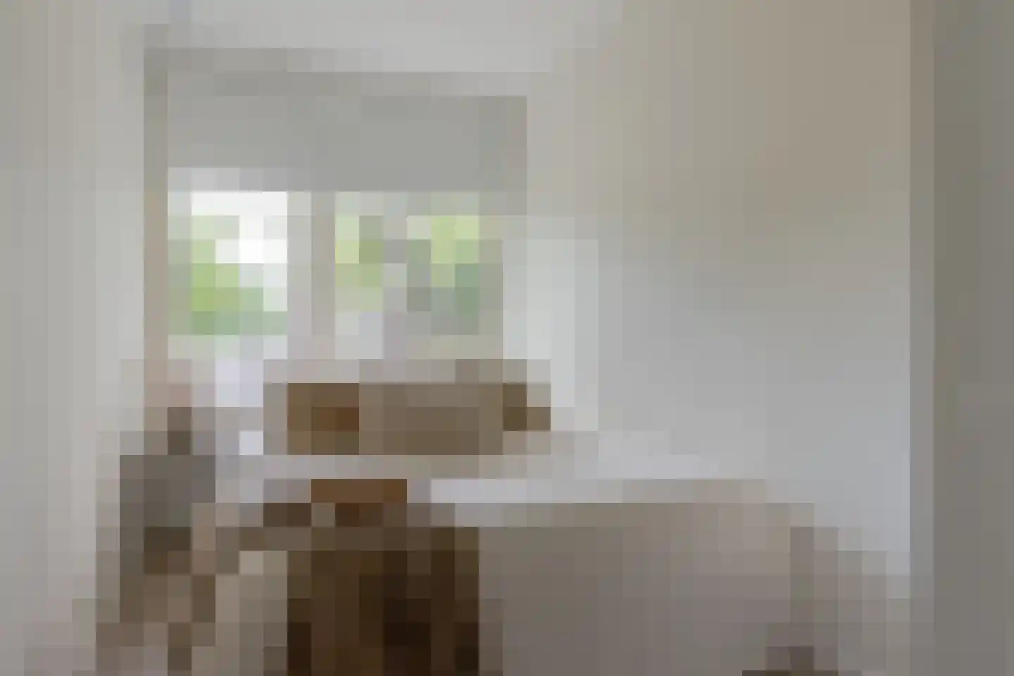 Schoonegge 317 Rotterdam thumbnail 28
