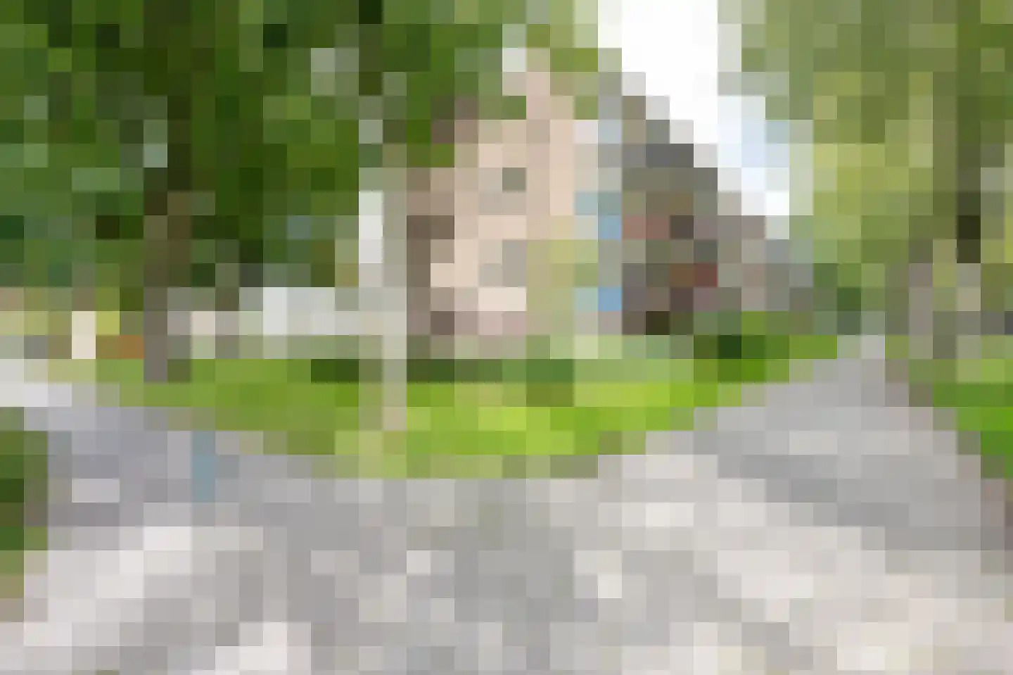Schoonegge 317 Rotterdam thumbnail 33