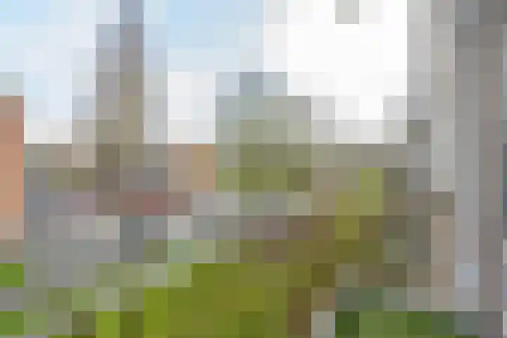 Schoonegge 319 Rotterdam thumbnail 16