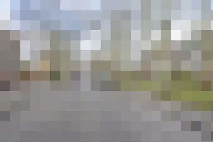 Schoonegge 319 Rotterdam thumbnail 25