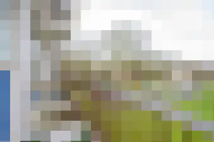 Schoonegge 319 Rotterdam thumbnail 5