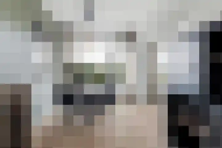Schoonegge 61 Rotterdam thumbnail 15
