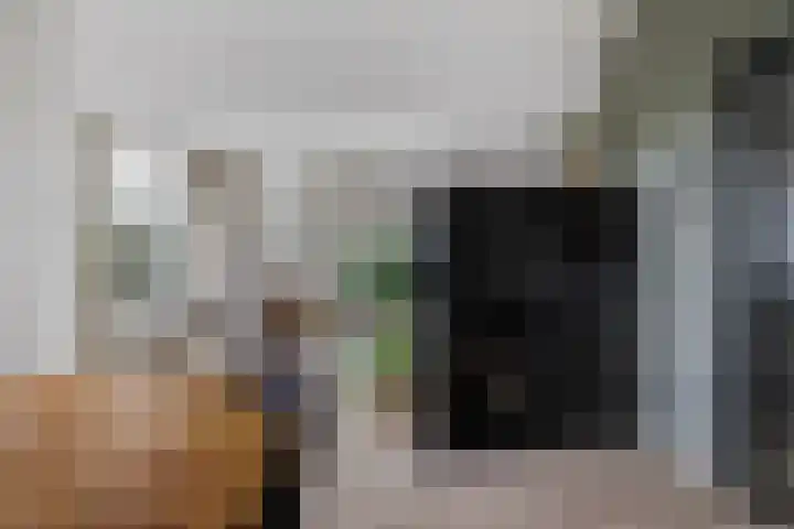 Schoonegge 61 Rotterdam thumbnail 16