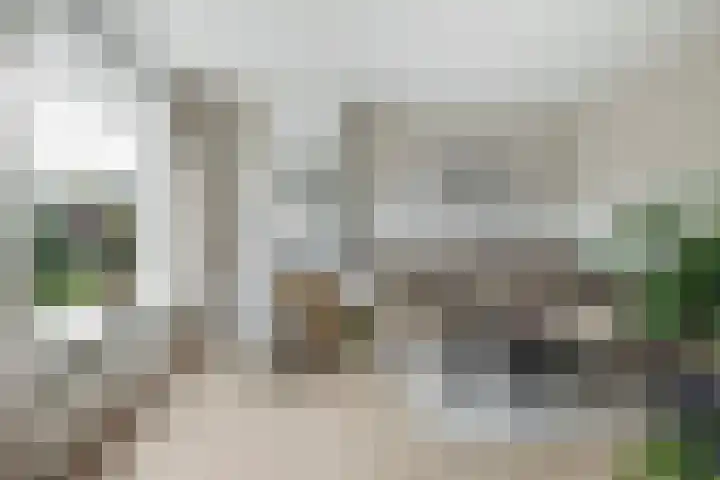 Schoonegge 61 Rotterdam thumbnail 18